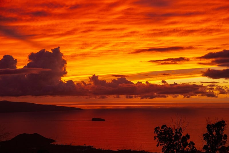 Maui